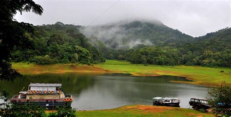 Photography Walk at Periyar Tiger Reserve, Thekkady - Experience Kerala
