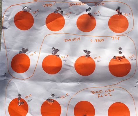 Image result for 308 Reloading Data 4064