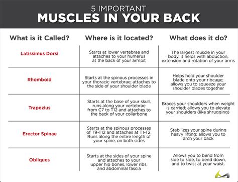 Pulled Muscle In Middle Back