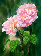 Image result for Watercolor Paintings of Roses