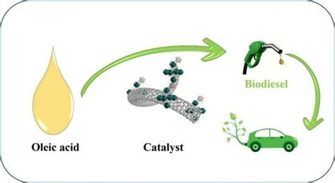 Response Surface Optimization of Biodiesel Production via ...