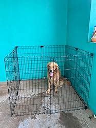 AmazonBasics Foldable Metal Pet Exercise and Playpen With Door, 36 ...