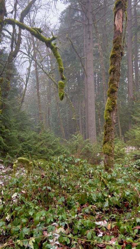 Image result for Eve Tryon