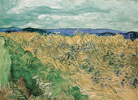 Vincent Van Gogh - Wheatfield With Cornflowers - Framed Prints by ...