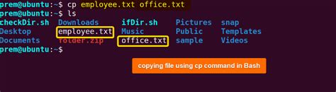 Linux File Manipulation 的图像结果