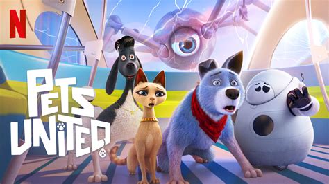 United Carry On Pet at Adam Grammer blog