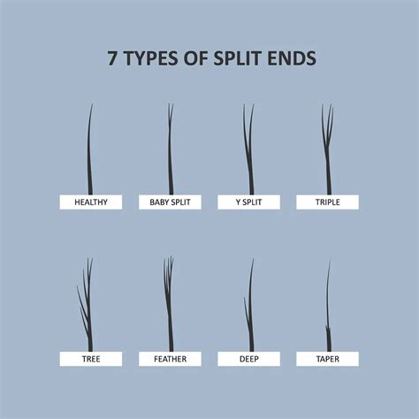 Image result for Split-Ends Explained