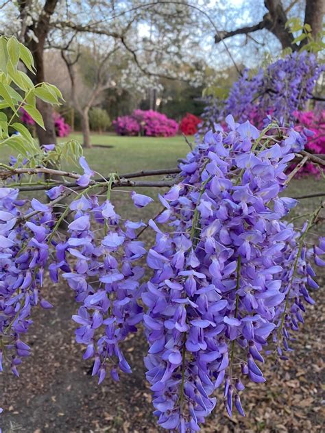 Mill Point Park | Town of James Island, SC