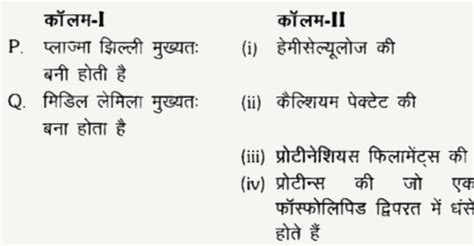 Image result for Objective Complement Hindi