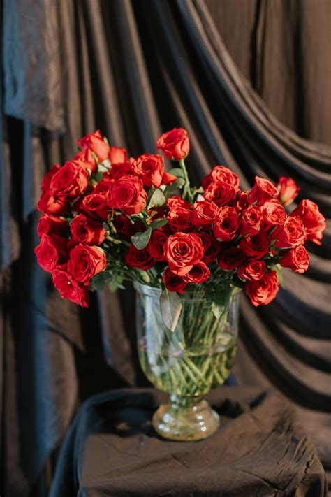 New Arrivals – The Flower Shop