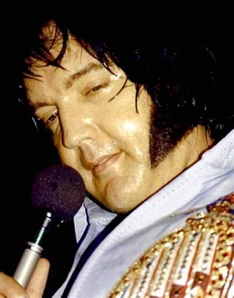 Elvis on stage in Hartford in july 28 1976. | Elvis presley family ...