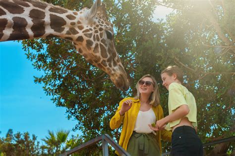 Popular animal myths that you probably still believe