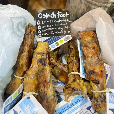Feet Of Ostrich