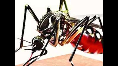 Medical officials swing into action after Malaria reports in Kottakkal ...