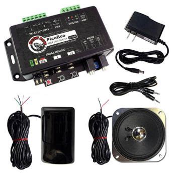 Program PicoBoo 的图像结果