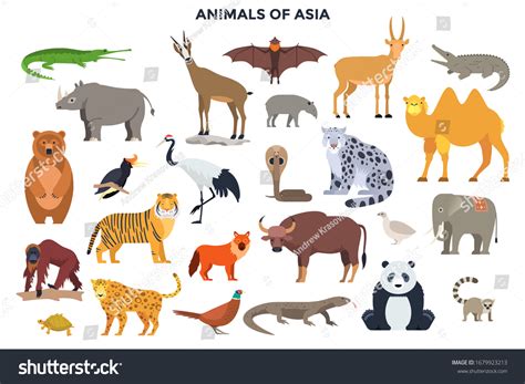 Pheasant Cartoon: Over 912 Royalty-Free Licensable Stock Vectors ...