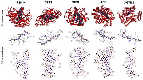 Characterization of Novel ACE-Inhibitory Peptides from Nemopilema ...