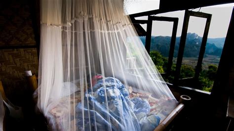 A comparison of DEET and DEET-free insect repellents highlighting their ...