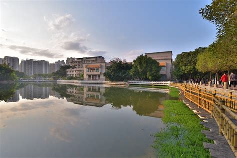 广西大学-掌上高考