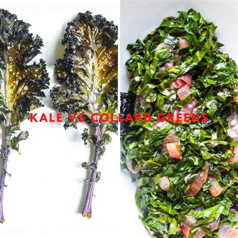 Kale Vs Collard Greens at Palmer Ellerbee blog