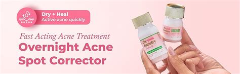 The Pink Foundry Acne Spot Corrector with Salicylic Acid & Sulfur for ...