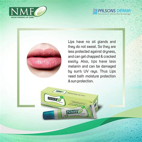 Nmfe Lip Care, 10 gm Price, Uses, Side Effects, Composition - Apollo ...