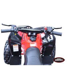 Lem Motor Quad Ares 49cc