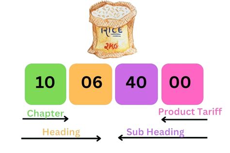 Unlocking Efficiency: Your Guide to HSN Codes and Harmonized System ...