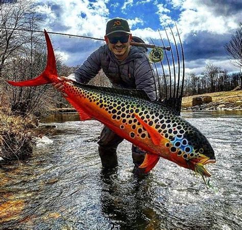 Image result for Catch Fish Methods