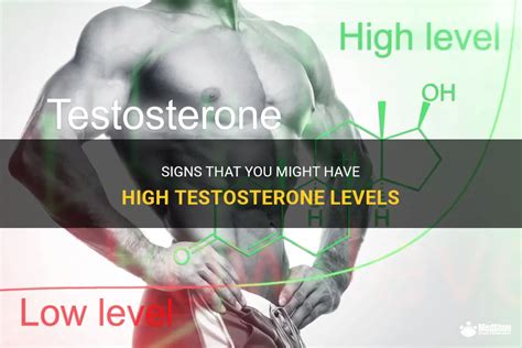 High Testosterone Levels Sign 的图像结果