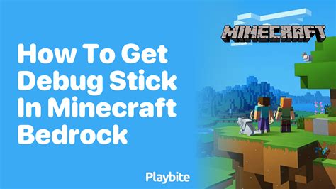 Image result for Debug Stick Commands