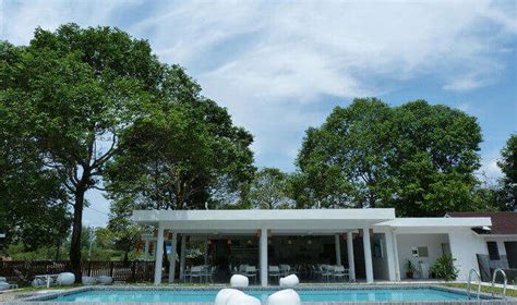 A Vegetarian's Guide To Malaysia: Best Dishes To Savour!