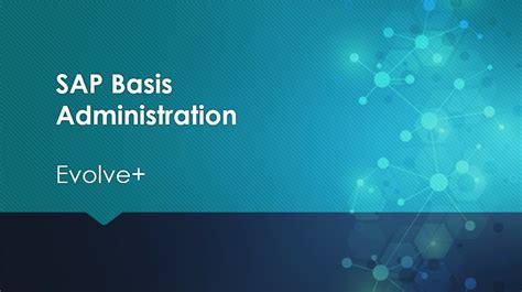 ITtec - SAP Basis Trainings