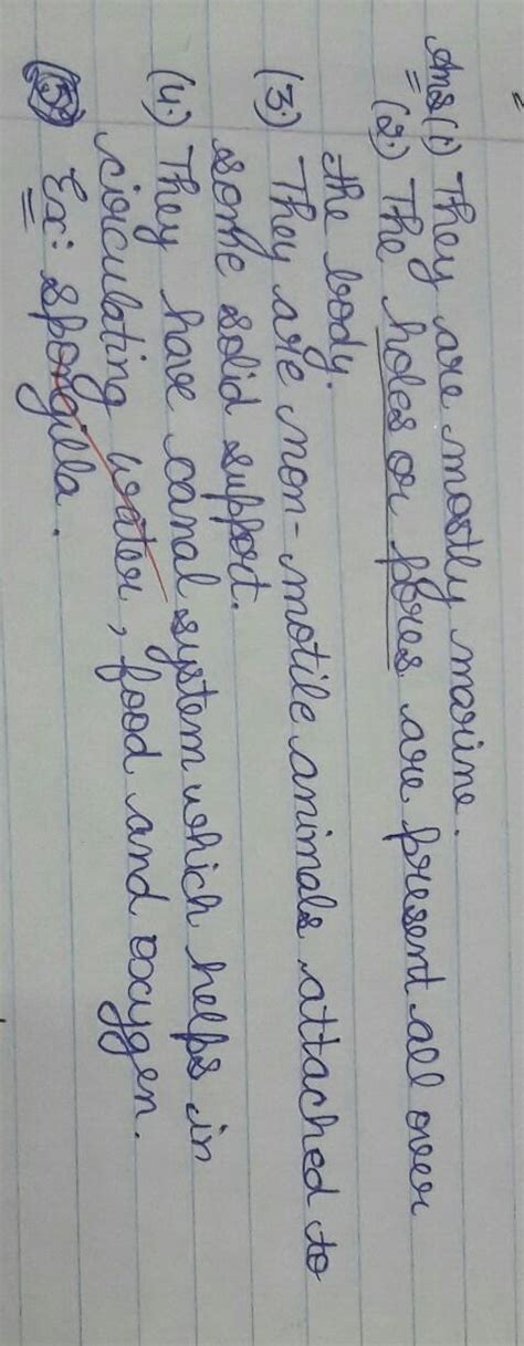 economic importance of porifera - Brainly.in