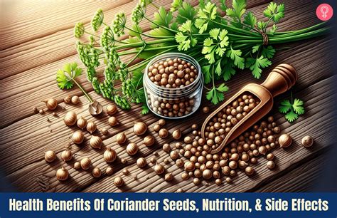 Coriander Seeds Benefits: 7 Proven Ways To Boost Your Health