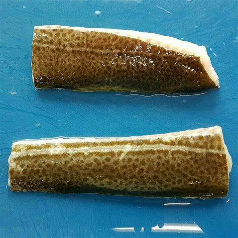 Norwegian Atlantic Cod Portions with Skin – Catch of Norway Seafood