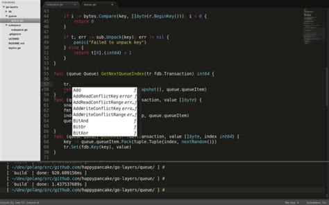 Moving Forward with Golang