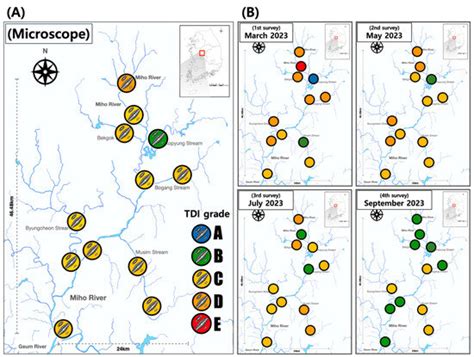 Environmental DNA in a Biofilm Can Be Used to Assess Diatom Ecological ...