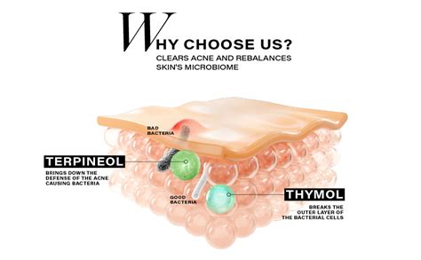 Novology Acne Deep Clearing Cleanser with Thymol+Terpineol| Face Wash ...