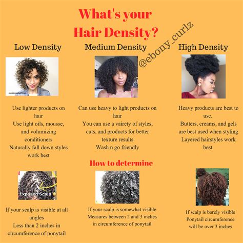 What’s Your Hair Density? | Natural hair styles, Low porosity hair ...