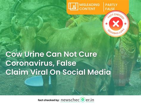 Can Cow Urine and Dung Cure Coronavirus? Read To Know - Newschecker
