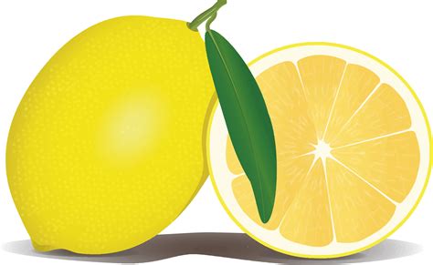 Lemon Clipart Png – Free Clipart #2387051 | Clipart Library