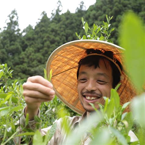 WORK IN THE WOODS.INC (2026) All You Need to Know BEFORE You Go (with ...