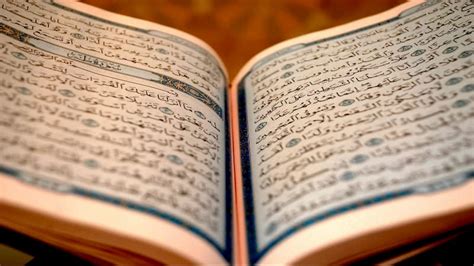 Image result for Bible Study Tutorials