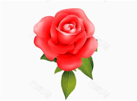 花卉玫瑰花朵装饰png元素素材图片下载-万素网