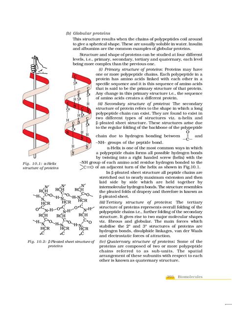 Class 10 Sciece Explanation of Chapter 12 的图像结果