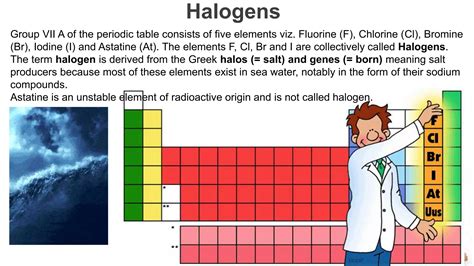 Chemistry of Halogen Compounds MANIK | PPTX