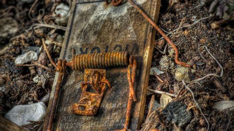 Image result for Best Mouse Trap Designs