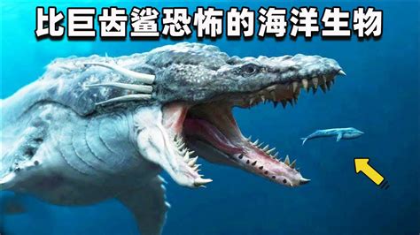 五种比巨齿鲨还恐怖的海洋生物，个个都是战斗力爆表！_腾讯视频