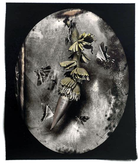 Still life - The Print Room